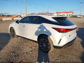 2024 Lexus RX 350, VIN 2T2BAMCA3RC077106. Фото 3 з 6 з аукціону IAAI. Каталог авто зі США OpenDataCar.