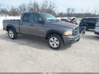 2002 Dodge Ram 1500, VIN 1D7HU18Z82J252632. Фото 1 з 6 з аукціону IAAI. Каталог авто зі США OpenDataCar.