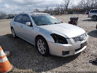 2007 Nissan Maxima, VIN 1N4BA41E47C845679. Фото 1 з 6 з аукціону IAAI. Каталог авто зі США OpenDataCar.