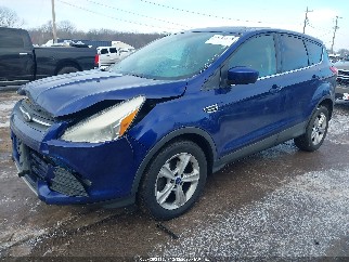 2014 Ford Escape, VIN 1FMCU0GX1EUA98214. Фото 2 из 6 с аукциона IAAI. Каталог авто из США OpenDataCar.