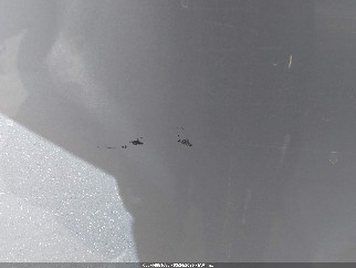 2021 Ford F-150, VIN 1FTFW1E87MFB69125. Фото 6 з 6 з аукціону IAAI. Каталог авто зі США OpenDataCar.