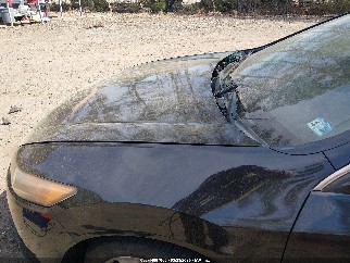 2010 Acura TSX, VIN JH4CU2F61AC025092. Фото 6 з 6 з аукціону IAAI. Каталог авто зі США OpenDataCar.