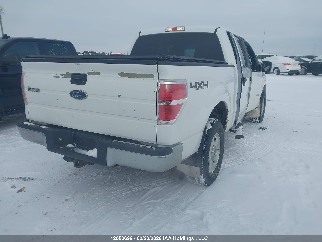 2014 Ford F-150, VIN 1FTFW1ET9EKF84136. Фото 4 з 6 з аукціону IAAI. Каталог авто зі США OpenDataCar.