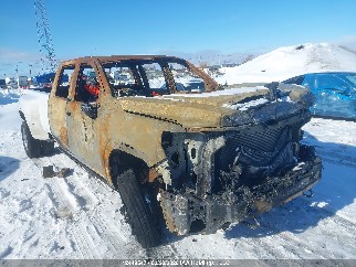 2025 Gmc Sierra, VIN 1GT4UWEY8SF111757. Фото 1 из 6 с аукциона IAAI. Каталог авто из США OpenDataCar.