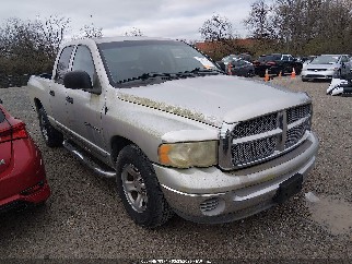 2002 Dodge Ram 1500, VIN 3D7HA18Z42G194352. Фото 1 з 6 з аукціону IAAI. Каталог авто зі США OpenDataCar.