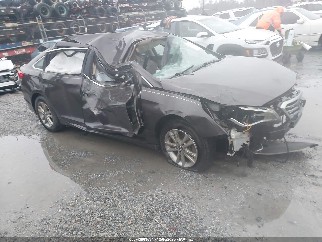 2015 Hyundai Sonata, VIN 5NPE24AF3FH202773. Фото 1 з 6 з аукціону IAAI. Каталог авто зі США OpenDataCar.