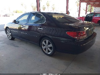 2005 Lexus ES 330, VIN JTHBA30GX55102113. Фото 3 из 6 с аукциона IAAI. Каталог авто из США OpenDataCar.