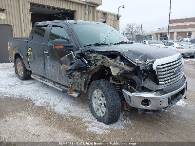2012 Ford F-150 Lightning, VIN 1FTFW1EF2CKD00417. Фото 1 з 6 з аукціону IAAI. Каталог авто зі США OpenDataCar.