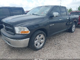 2009 Dodge Ram 1500, VIN 1D3HB18P69S780826. Zdjęcie 2 z 6 z aukcji IAAI. Katalog aut z USA OpenDataCar.