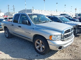 2002 Dodge Ram 1500, VIN 3D7HA18Z22G190039. Фото 1 з 6 з аукціону IAAI. Каталог авто зі США OpenDataCar.