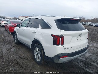 2024 Kia Sorento, VIN 5XYRGDJCXRG258794. Фото 3 из 6 с аукциона IAAI. Каталог авто из США OpenDataCar.