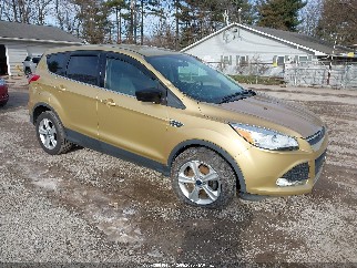2014 Ford Escape, VIN 1FMCU0GX8EUD15144. Фото 1 з 6 з аукціону IAAI. Каталог авто зі США OpenDataCar.