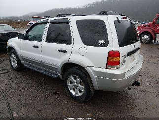 2007 Ford Escape, VIN 1FMYU93187KA93764. Фото 3 з 6 з аукціону IAAI. Каталог авто зі США OpenDataCar.