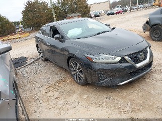2019 Nissan Maxima, VIN 1N4AA6AV8KC365791. Фото 1 з 6 з аукціону IAAI. Каталог авто зі США OpenDataCar.