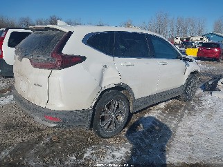 2020 Honda CR-V, VIN 5J6RW2H58LL001346. Zdjęcie 4 z 6 z aukcji IAAI. Katalog aut z USA OpenDataCar.