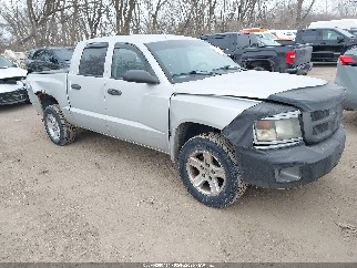 2011 Ram Dakota, VIN 1D7RW3GK8BS614323. Фото 1 из 6 с аукциона IAAI. Каталог авто из США OpenDataCar.