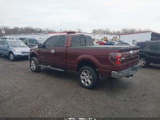 2010 Ford F-150, VIN 1FTFX1EV8AFD84916. Фото 3 з 6 з аукціону IAAI. Каталог авто зі США OpenDataCar.