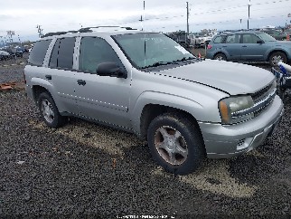 2008 Chevrolet Trailblazer, VIN 1GNDT13S482253373. Zdjęcie 1 z 6 z aukcji IAAI. Katalog aut z USA OpenDataCar.