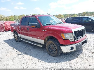 2013 Ford F-150, VIN 1FTFW1CT0DFC39698. Фото 1 з 6 з аукціону IAAI. Каталог авто зі США OpenDataCar.