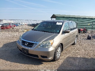 2010 Honda Odyssey, VIN 5FNRL3H41AB037309. Фото 2 з 6 з аукціону IAAI. Каталог авто зі США OpenDataCar.