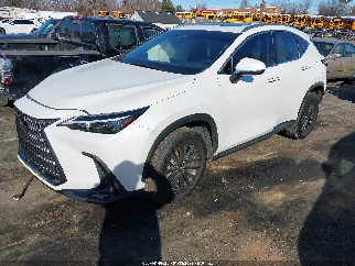 2025 Lexus NX 350, VIN JTJGGCEZ5S2019330. Фото 2 з 6 з аукціону IAAI. Каталог авто зі США OpenDataCar.