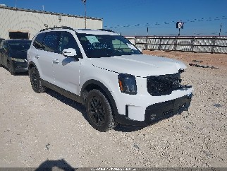 2024 Kia Telluride, VIN 5XYP5DGC5RG496184. Фото 1 з 6 з аукціону IAAI. Каталог авто зі США OpenDataCar.