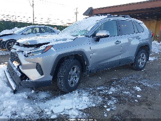 2025 Toyota RAV4, VIN 2T3P1RFV7SC551190. Фото 6 з 6 з аукціону IAAI. Каталог авто зі США OpenDataCar.