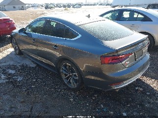 2019 Audi S5, VIN WAUC4CF58KA003163. Фото 3 из 6 с аукциона IAAI. Каталог авто из США OpenDataCar.