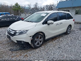 2019 Honda Odyssey, VIN 5FNRL6H77KB014968. Фото 2 з 6 з аукціону IAAI. Каталог авто зі США OpenDataCar.