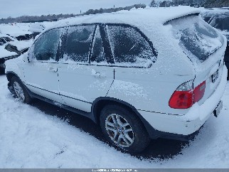 2005 Bmw X5, VIN 5UXFA13575LY09231. Zdjęcie 3 z 6 z aukcji IAAI. Katalog aut z USA OpenDataCar.