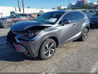 2021 Lexus NX 300, VIN JTJGARBZ0M2197917. Фото 2 з 6 з аукціону IAAI. Каталог авто зі США OpenDataCar.