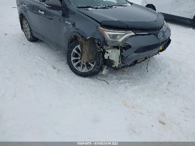 2016 Toyota RAV4, VIN JTMDJREV4GD017345. Фото 6 з 6 з аукціону IAAI. Каталог авто зі США OpenDataCar.