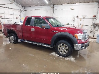 2013 Ford F-150, VIN 1FTFX1EF9DKD00512. Zdjęcie 1 z 6 z aukcji IAAI. Katalog aut z USA OpenDataCar.
