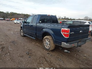 2014 Ford F-150, VIN 1FTFX1CT7EKD54580. Фото 3 з 6 з аукціону IAAI. Каталог авто зі США OpenDataCar.