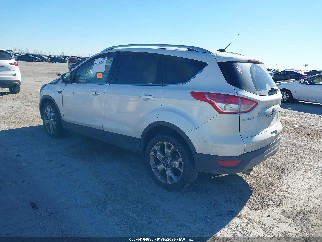2014 Ford Escape, VIN 1FMCU0JX3EUB97447. Фото 3 з 6 з аукціону IAAI. Каталог авто зі США OpenDataCar.