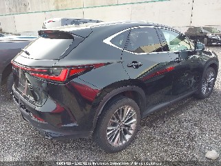 2022 Lexus NX 350h, VIN 2T2GKCEZ4NC002795. Фото 4 из 6 с аукциона IAAI. Каталог авто из США OpenDataCar.