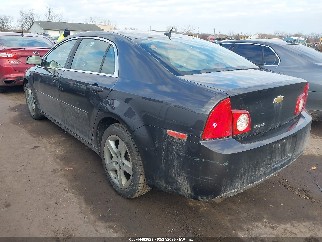 2011 Chevrolet Malibu, VIN 1G1ZB5E13BF261017. Фото 3 з 6 з аукціону IAAI. Каталог авто зі США OpenDataCar.