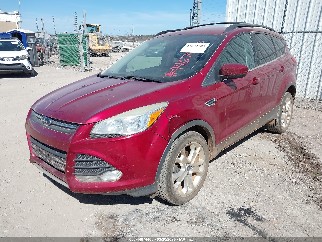 2013 Ford Escape, VIN 1FMCU0GX5DUC66810. Фото 2 з 6 з аукціону IAAI. Каталог авто зі США OpenDataCar.