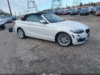 2016 Bmw 2 Series, VIN WBA1K9C55GV322265. Фото 1 з 6 з аукціону IAAI. Каталог авто зі США OpenDataCar.
