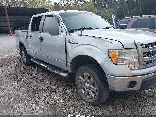 2014 Ford F-150, VIN 1FTFW1EF8EKD01509. Фото 6 з 6 з аукціону IAAI. Каталог авто зі США OpenDataCar.