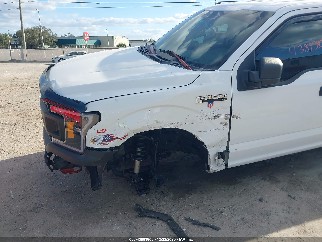 2018 Ford F-150, VIN 1FTFX1E51JKF99707. Фото 6 из 6 с аукциона IAAI. Каталог авто из США OpenDataCar.