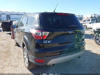 2017 Ford Escape, VIN 1FMCU0GD7HUC24778. Фото 3 з 6 з аукціону IAAI. Каталог авто зі США OpenDataCar.