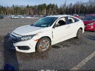 2016 Honda Civic, VIN 19XFC2F51GE223181. Фото 2 з 6 з аукціону IAAI. Каталог авто зі США OpenDataCar.