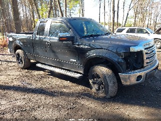 2013 Ford F-150, VIN 1FTFX1ETXDFC61069. Фото 1 з 6 з аукціону IAAI. Каталог авто зі США OpenDataCar.