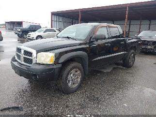 2006 Dodge Dakota, VIN 1D7HW48N56S521288. Фото 2 из 6 с аукциона IAAI. Каталог авто из США OpenDataCar.