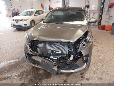 2019 Kia Sorento, VIN 5XYPHDA57KG443395. Фото 6 з 6 з аукціону IAAI. Каталог авто зі США OpenDataCar.
