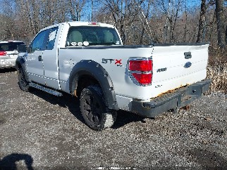 2010 Ford F-150, VIN 1FTEX1EW4AFB77847. Фото 3 з 6 з аукціону IAAI. Каталог авто зі США OpenDataCar.