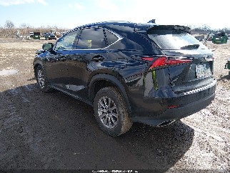2020 Lexus NX 300, VIN JTJDARDZ3L5010585. Фото 3 з 6 з аукціону IAAI. Каталог авто зі США OpenDataCar.