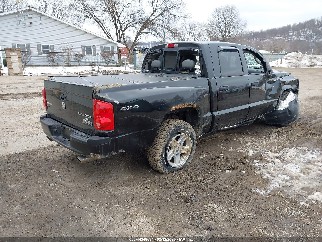 2011 Ram Dakota, VIN 1D7RW3GP4BS667063. Фото 4 из 6 с аукциона IAAI. Каталог авто из США OpenDataCar.