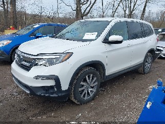 2020 Honda Pilot, VIN 5FNYF6H34LB061490. Фото 2 из 6 с аукциона IAAI. Каталог авто из США OpenDataCar.